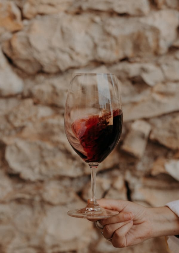 Atelier dégustation au château de Haute-Serre