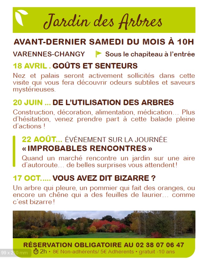 Vous avez dit bizarre ?