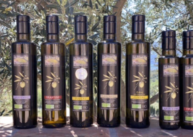 *IMMERSION AU CŒUR DE L’OLIVERAIE : VISITE ACCOMPAGNÉE DU MAS PY ET DÉGUSTATION D’HUILE D’OLIVE D’EXCEPTION