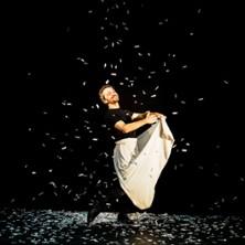 Les Paillettes de leur Vie - Mickaël Délis