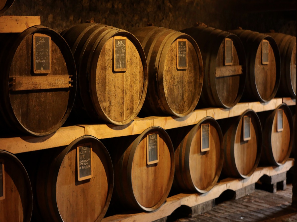 L'Automne à la ferme au Manoir d'Apreval