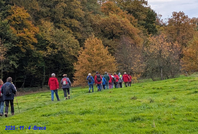 Randonnée du Lundi : Domfront