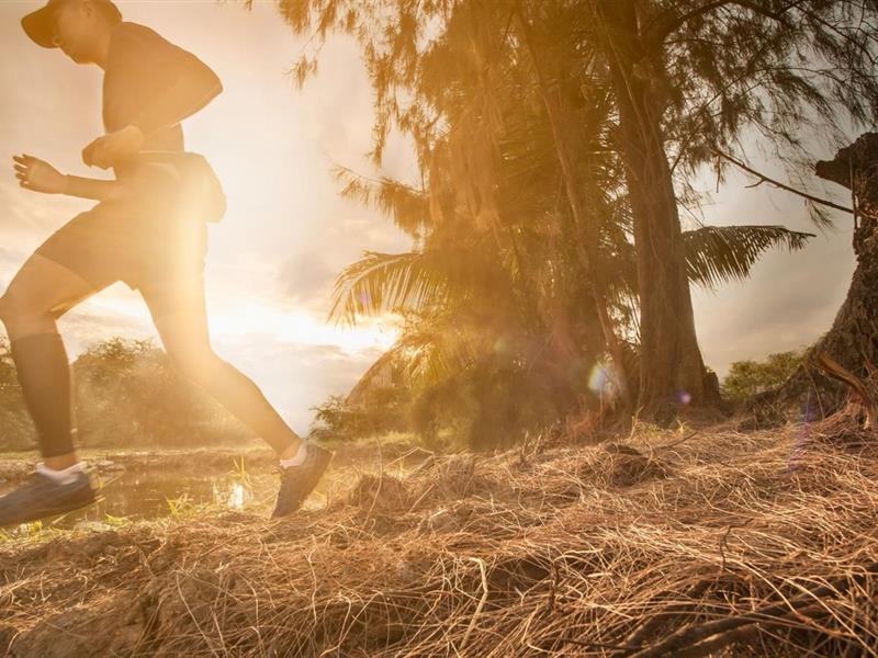 Sortie Trail Communautaire