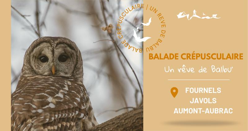 Balades Crepusculaires Javols