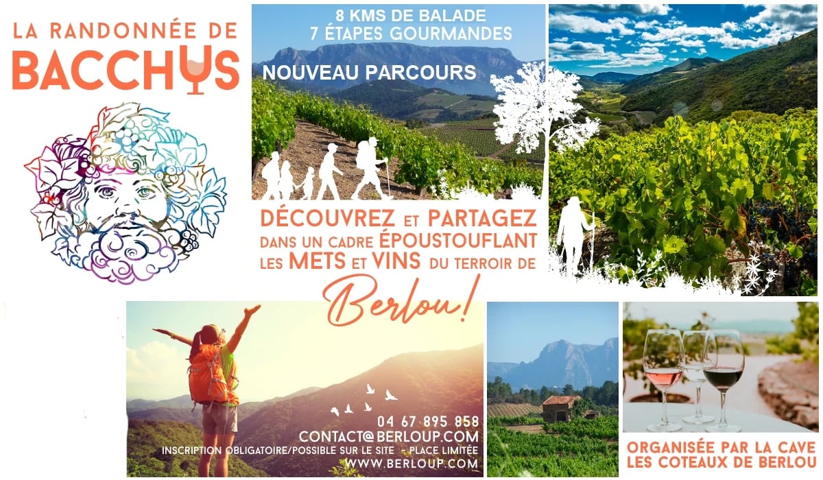 LA RANDONNÉE DE BACCHUS