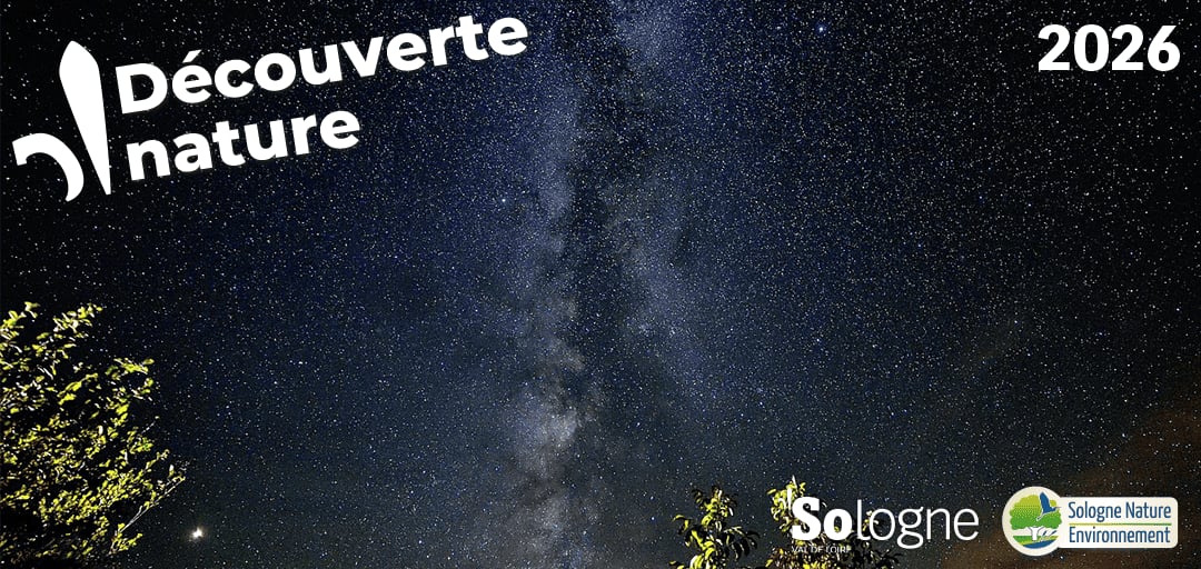 Découvertes Sologne Nature - Nuage d'étoiles