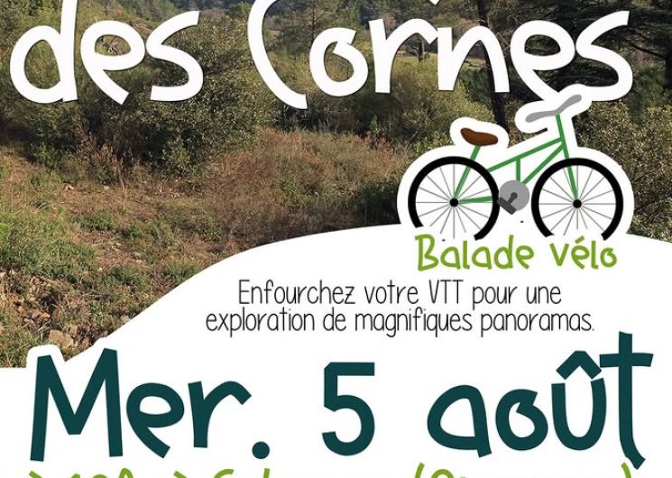 BALADE VTT : LE SENTIER DES CORNES