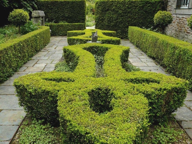 Concert au jardin | Duo Harpe et hautbois