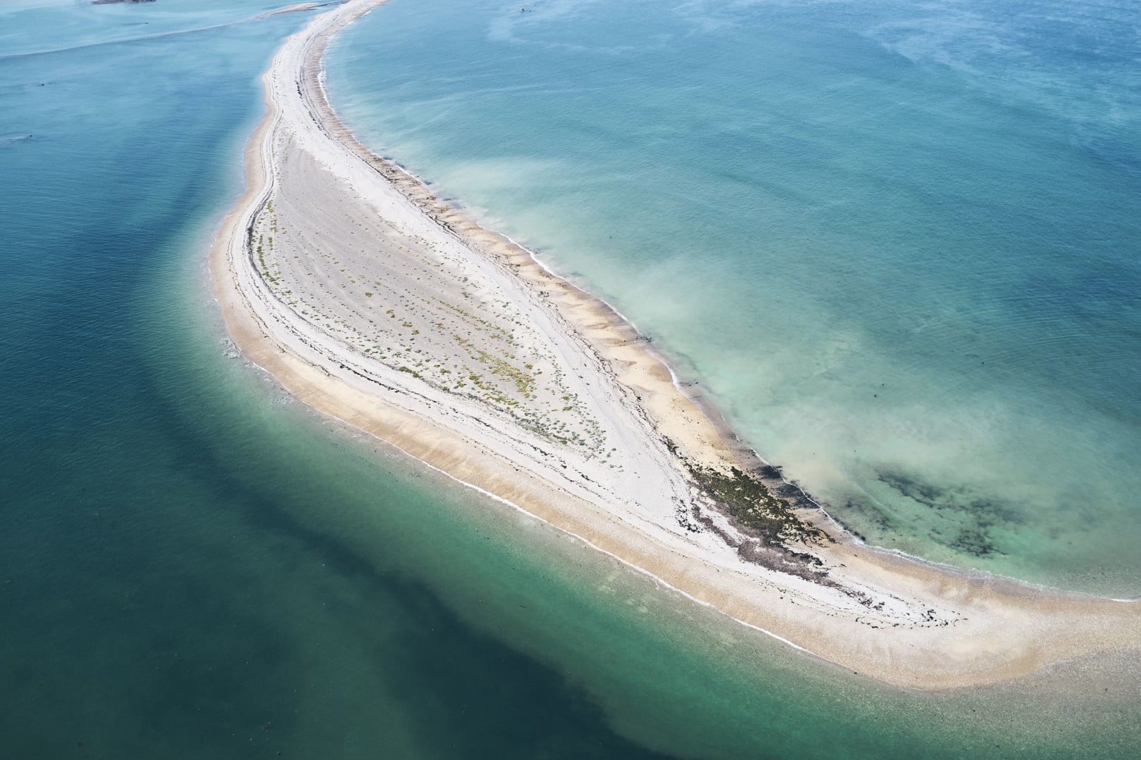 Rencontre au camion nature – Laisse de mer et flore marine