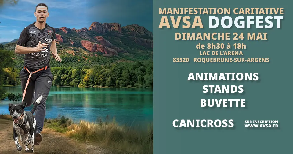 AVSA Dogfest