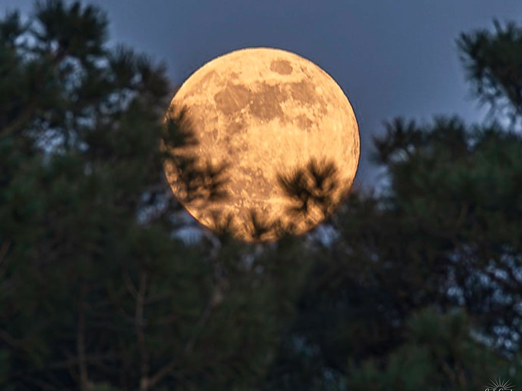 Observation du ciel nocturne