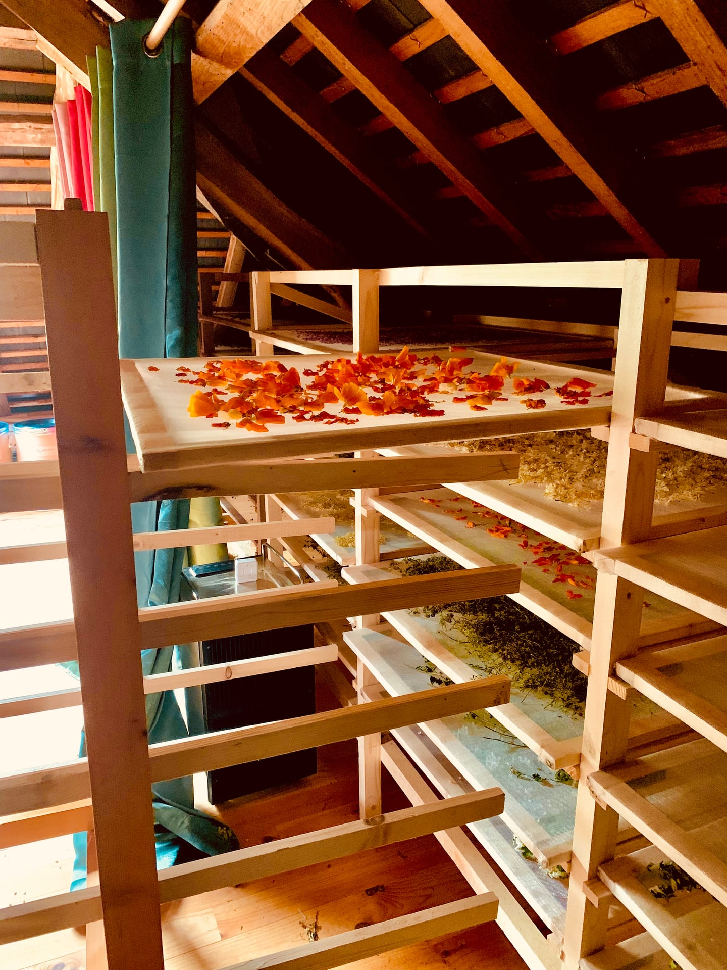 Atelier Herboristerie