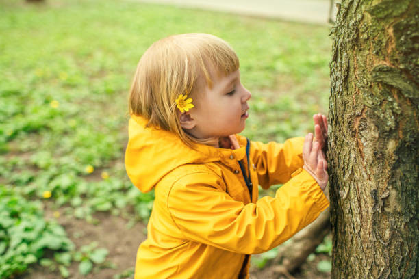Les arbres parlent aux tout petits