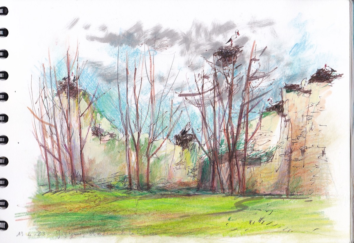 Croquis de terrain au château des cigognes