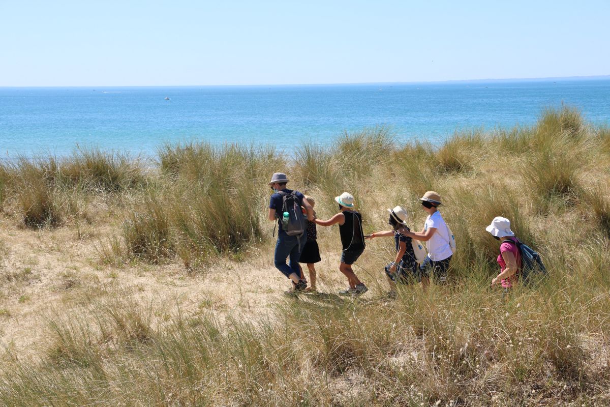 Sortie nature : Petit aventurier dans les dunes