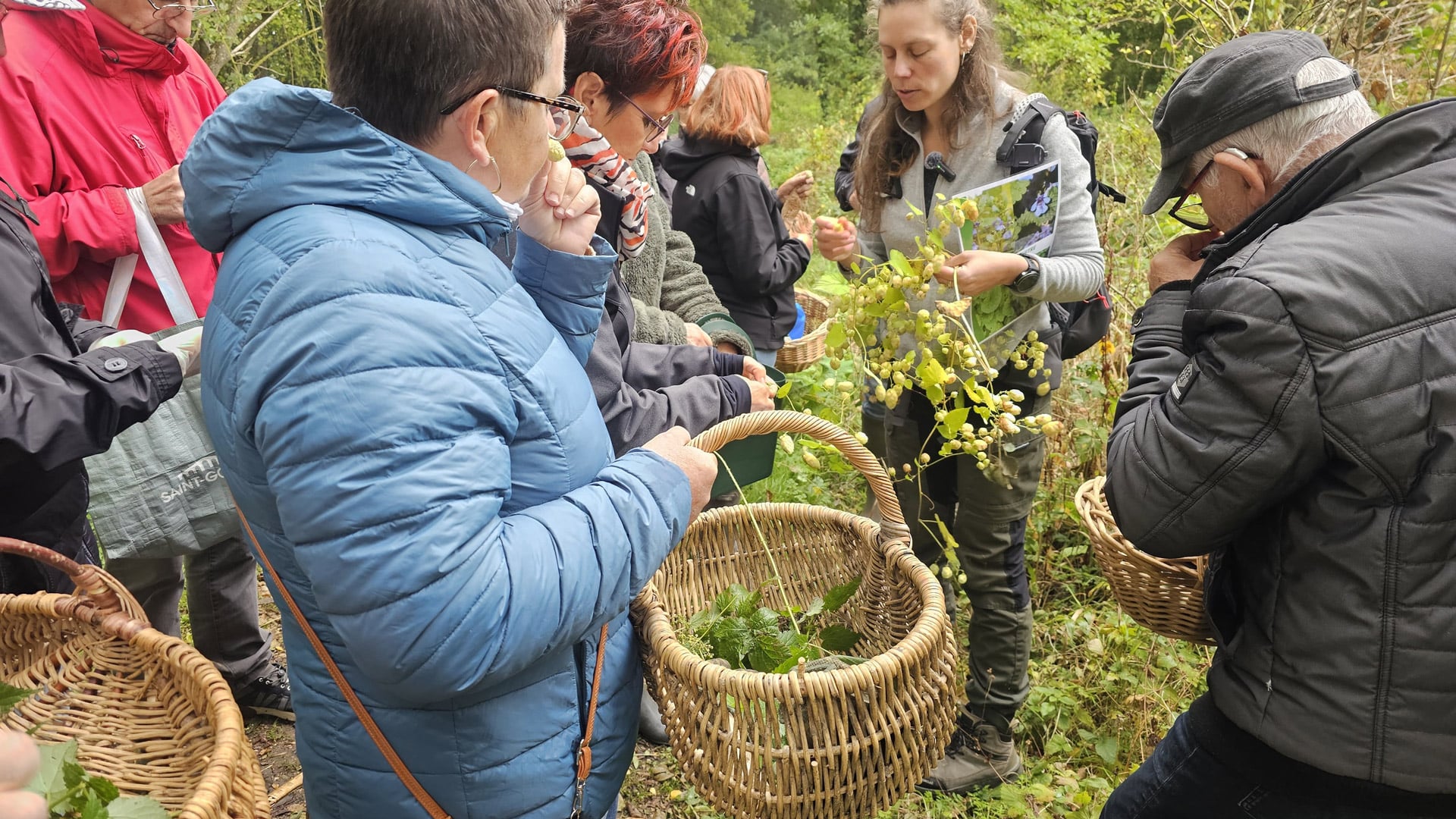 Cueillette et cuisine de plantes comestibles