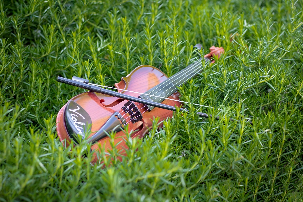 Les Amis de Ségur : Concert flûte - violon