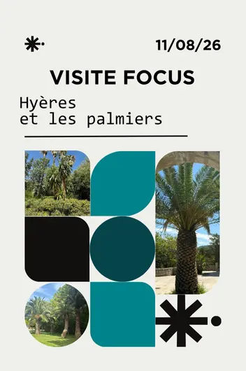 Focus : Hyères et les palmiers