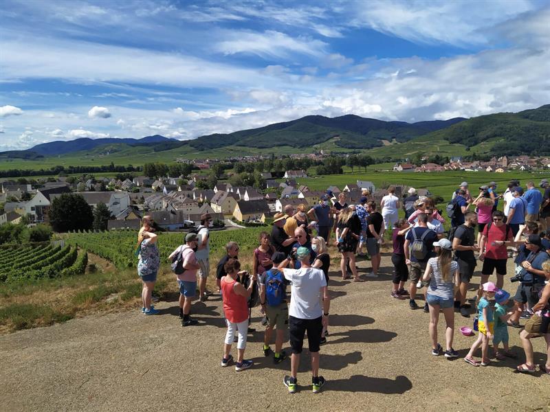 Pique-nique chez le vigneron indépendant - Domaine Meyer-Krumb