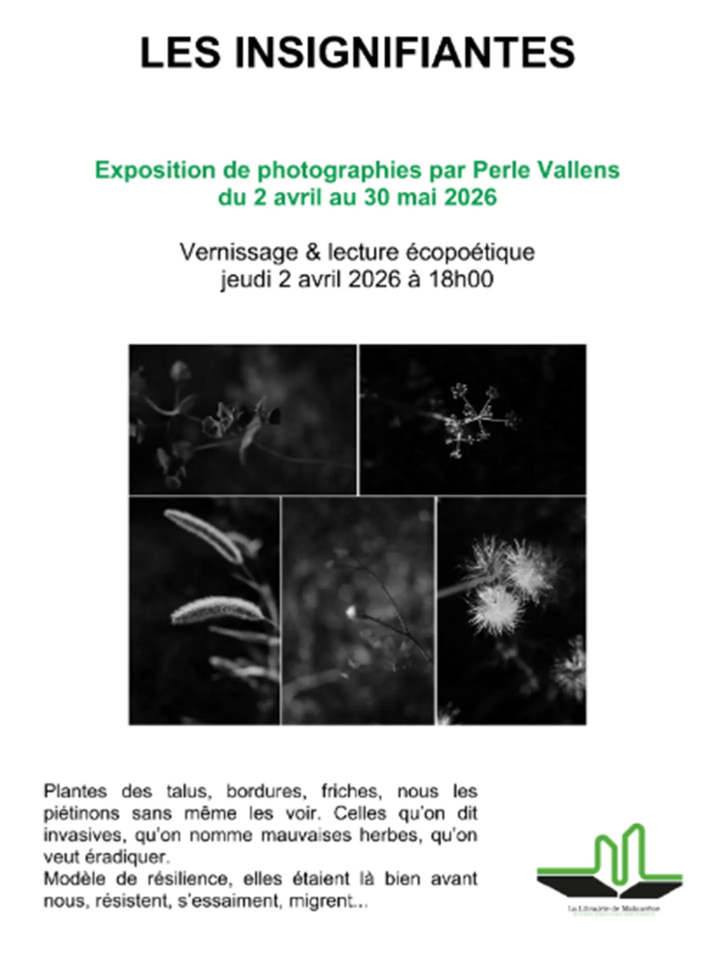 Vernissage de l'exposition de photographies "Les insignifiantes" de Perle Vallens