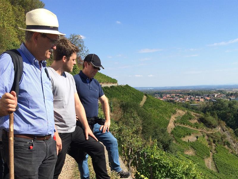 Balade immersive dans le vignoble du Rangen