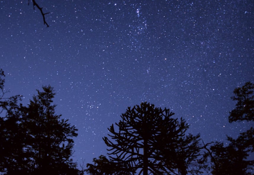 La tête dans les étoiles