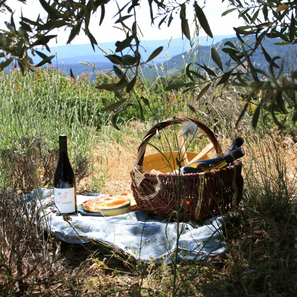 Pique-nique au domaine de Saint-Amant