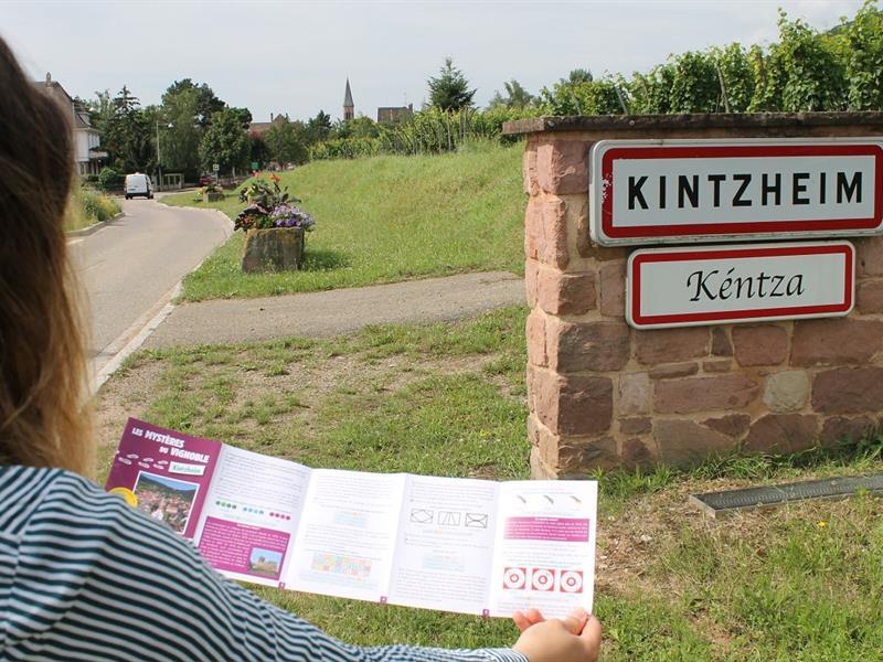 Les mystères du vignoble : Kintzheim