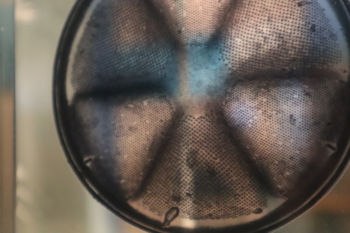 P'tite visite sur l'infiniment petit