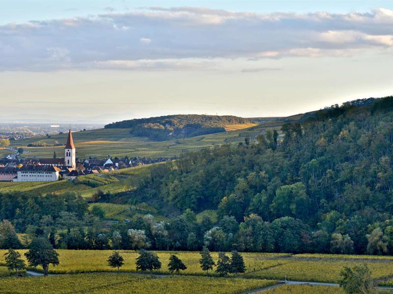 Mini-rallye - Découverte du vignoble