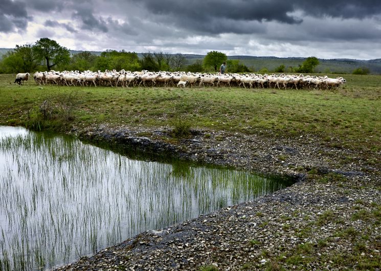 Exposition ParcourS, un regard sur le paysage