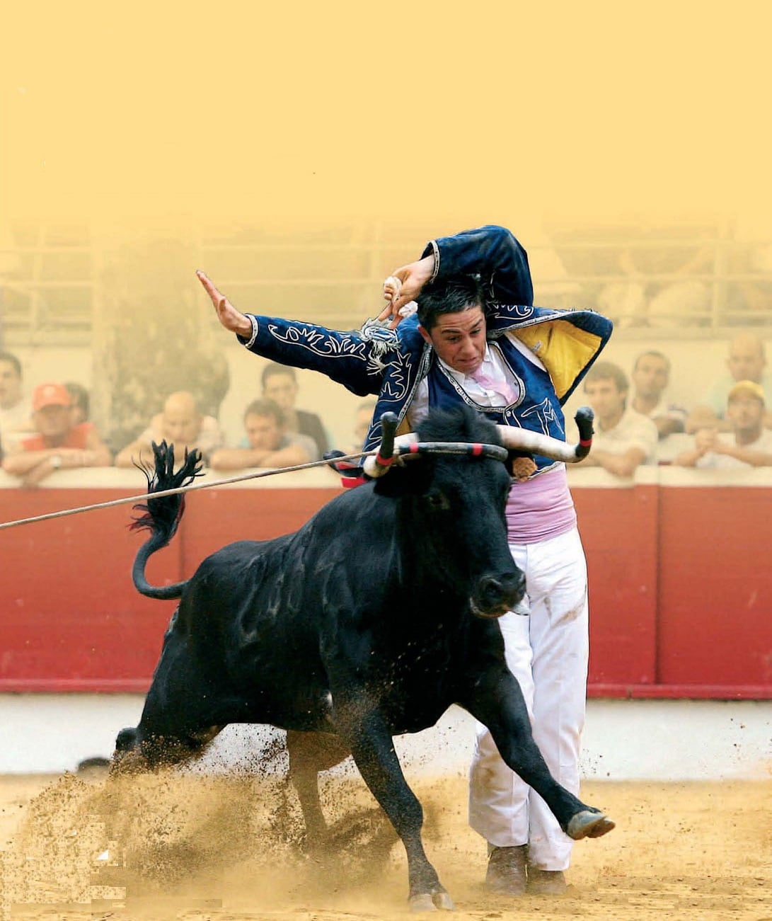 Semaine Landaise / Course landaise / Bulls on the beach