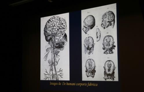 CONFERENCE « 1884-2026 : UN SIECLE ET DEMI D’HISTOIRE DE LA NEUROCHIRURGIE »