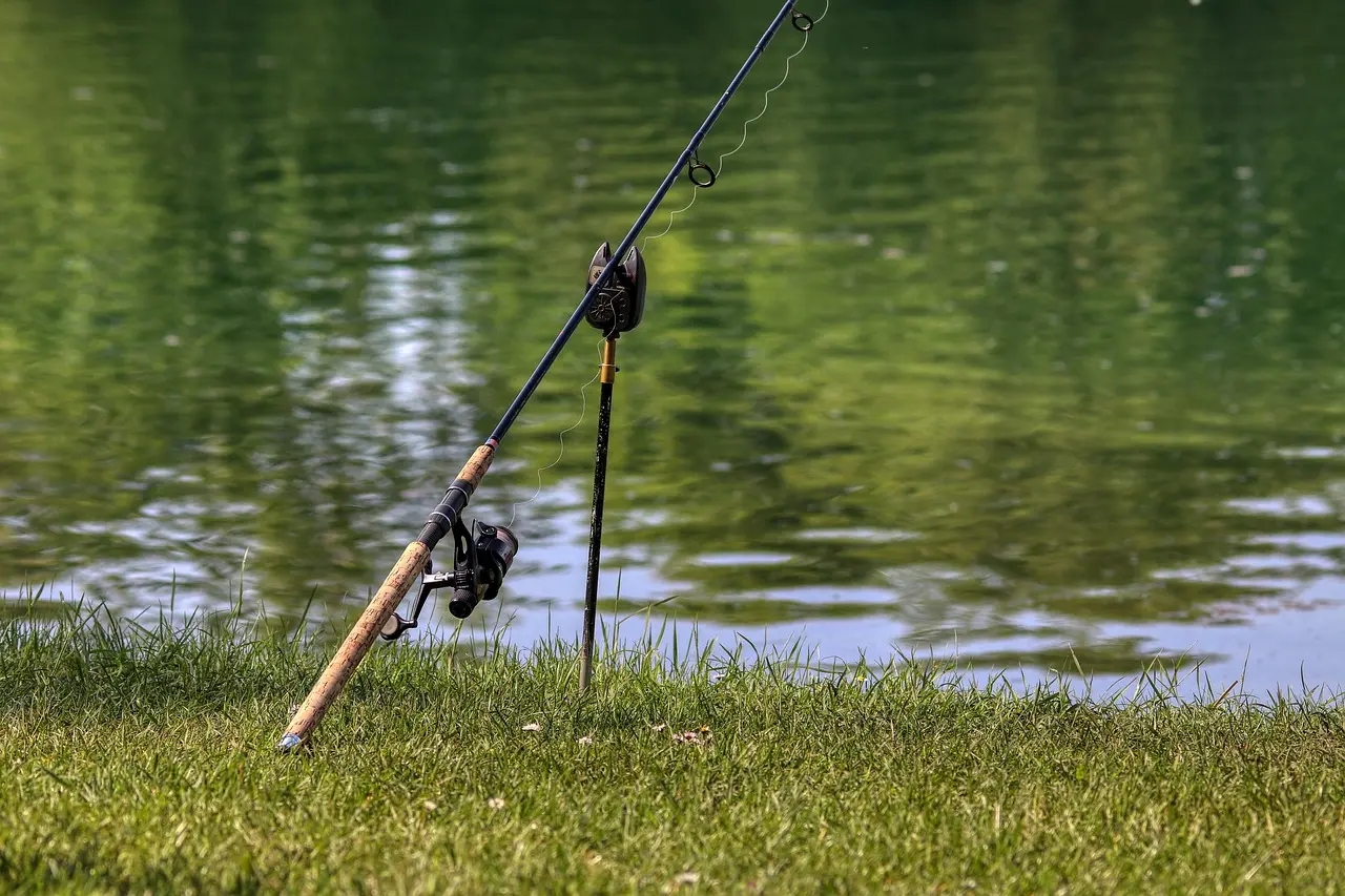 Stage de pêche au coup à Château-Arnoux
