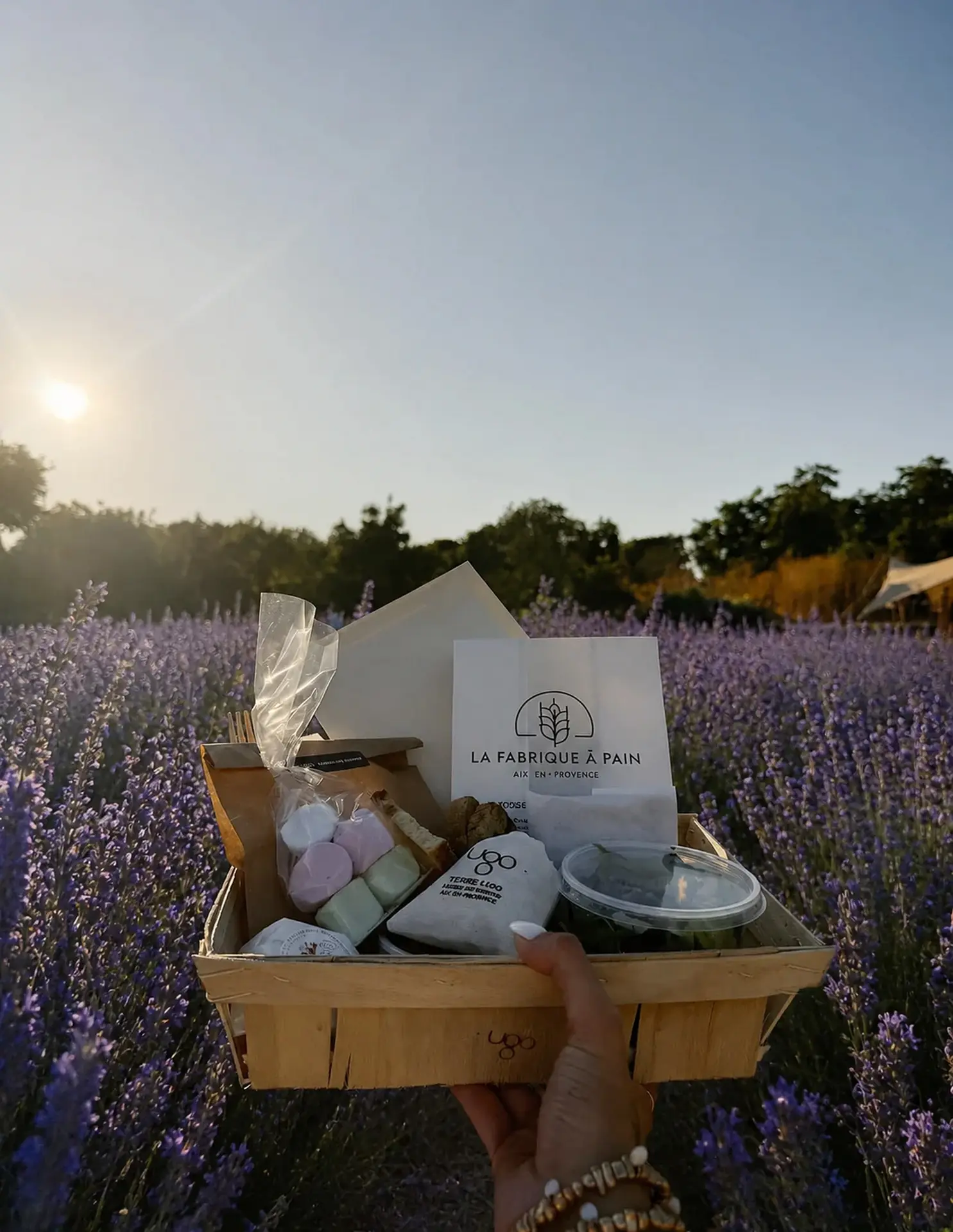 Lavender Night : Pique-nique gourmet chez Terre Ugo