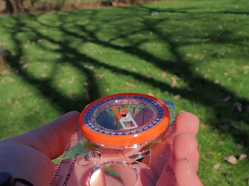 « Orient’arbres » : Découvertes naturalistes et orientation