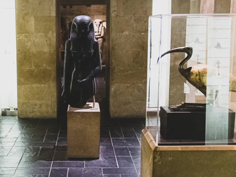 La Nuit des Musées au Musée d'Archéologie Méditerranéenne (MAM)