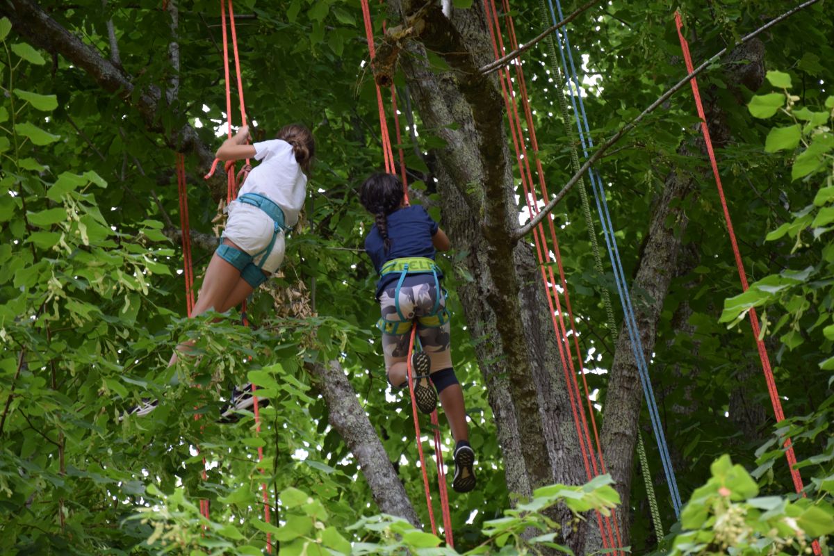 Eté actif : Grimpe d’arbre