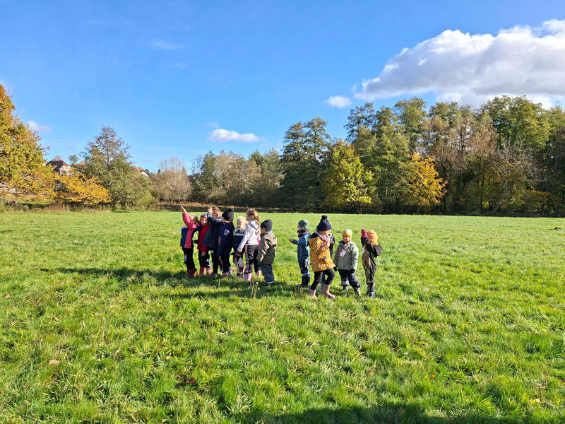 Club nature - un jour, une découverte - 03/06 ans