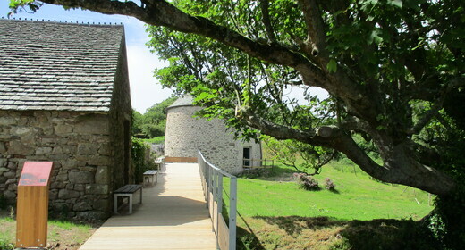 Atelier nature (3-5 ans) : l'arbre dans tous ses états