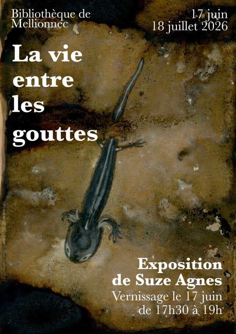 « La vie entre les gouttes »