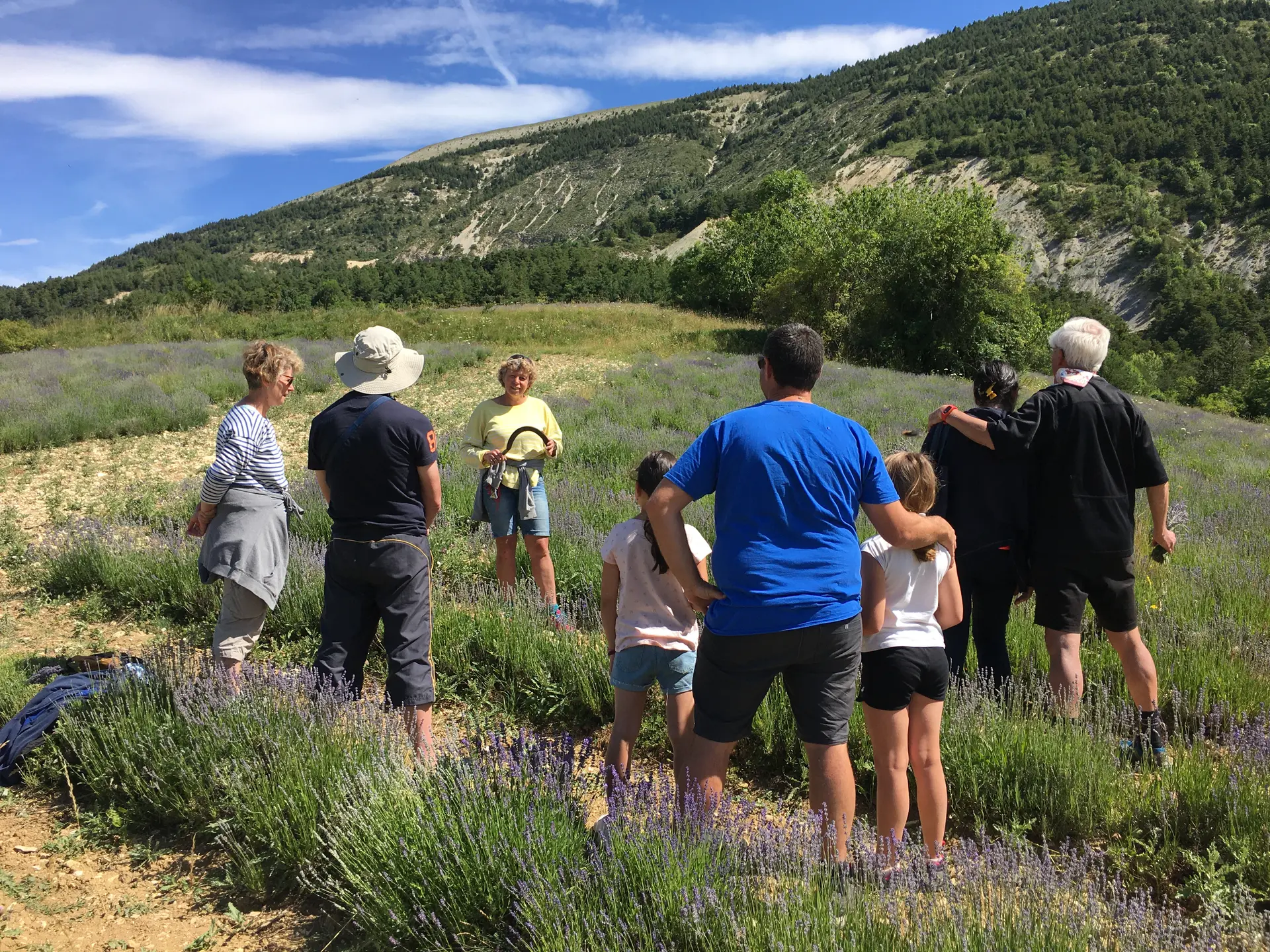 Visite d'exploitation de Lavande - Bleu d'Argens