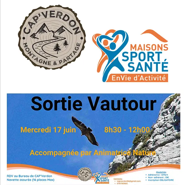Sortie vautours