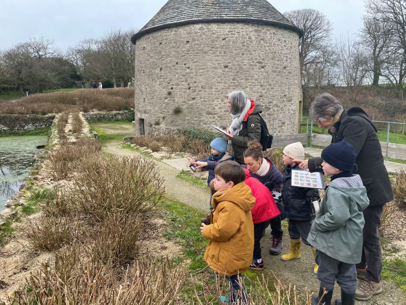 Atelier nature (6-12 ans) : autour de la mare