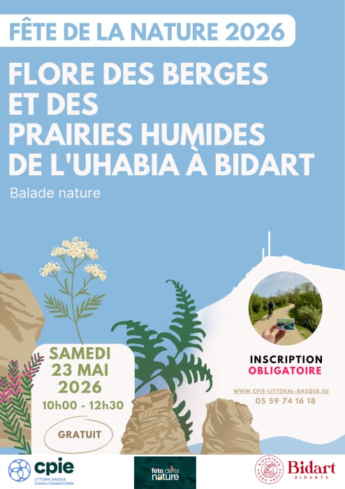 Fête de la nature - Flores des berges et des prairies humides de l'Uhabia à Bidart