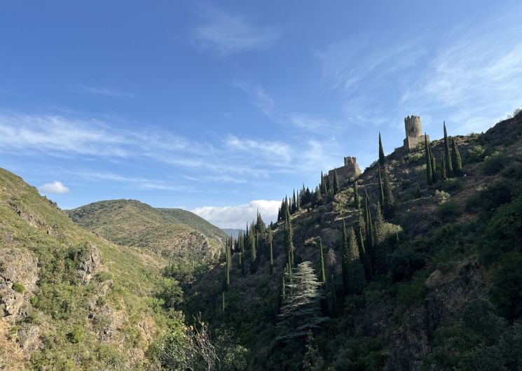 JEP 2026 – LES QUATRE CHÂTEAUX DE LASTOURS