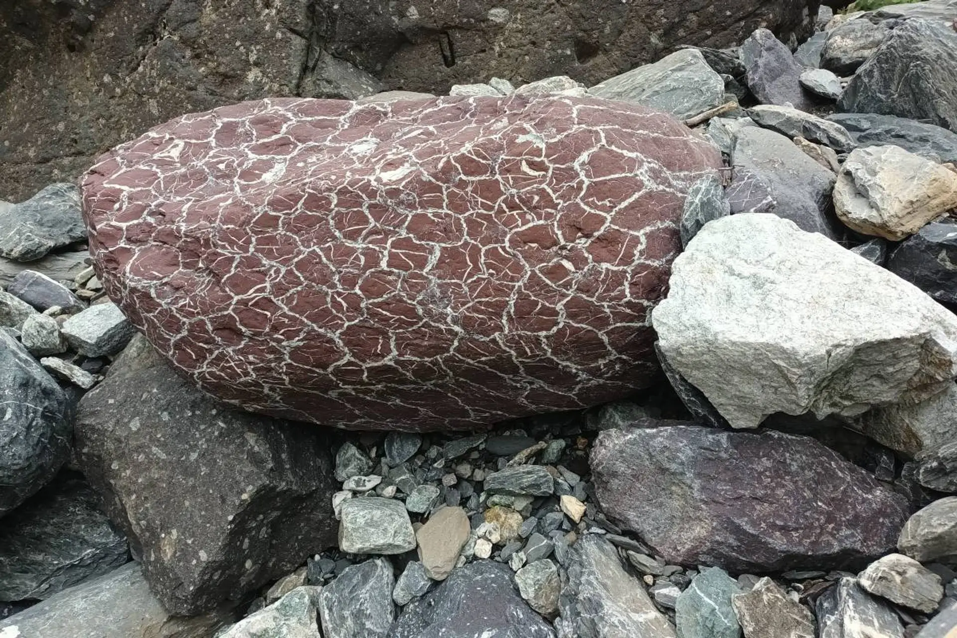 Atelier géologie pour tous : "les roches parlent !"