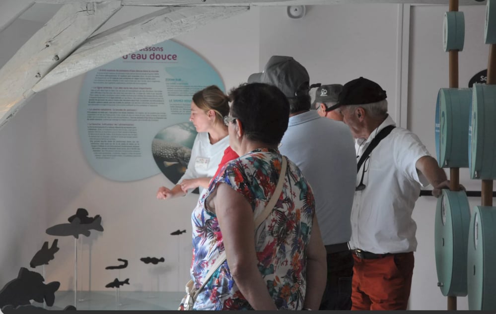 Une soirée au musée