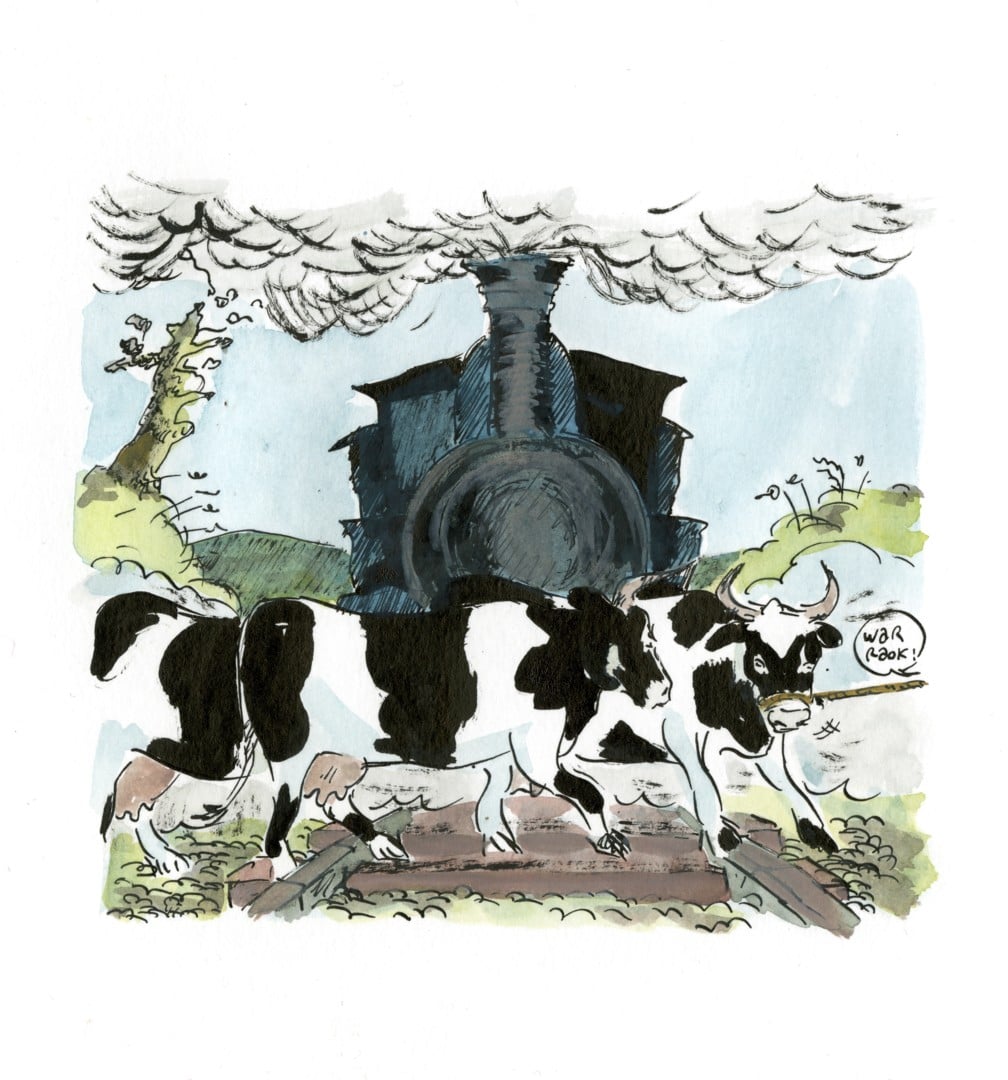 Balade Botanique et Histoire de la Voie Verte Mael-Carhaix