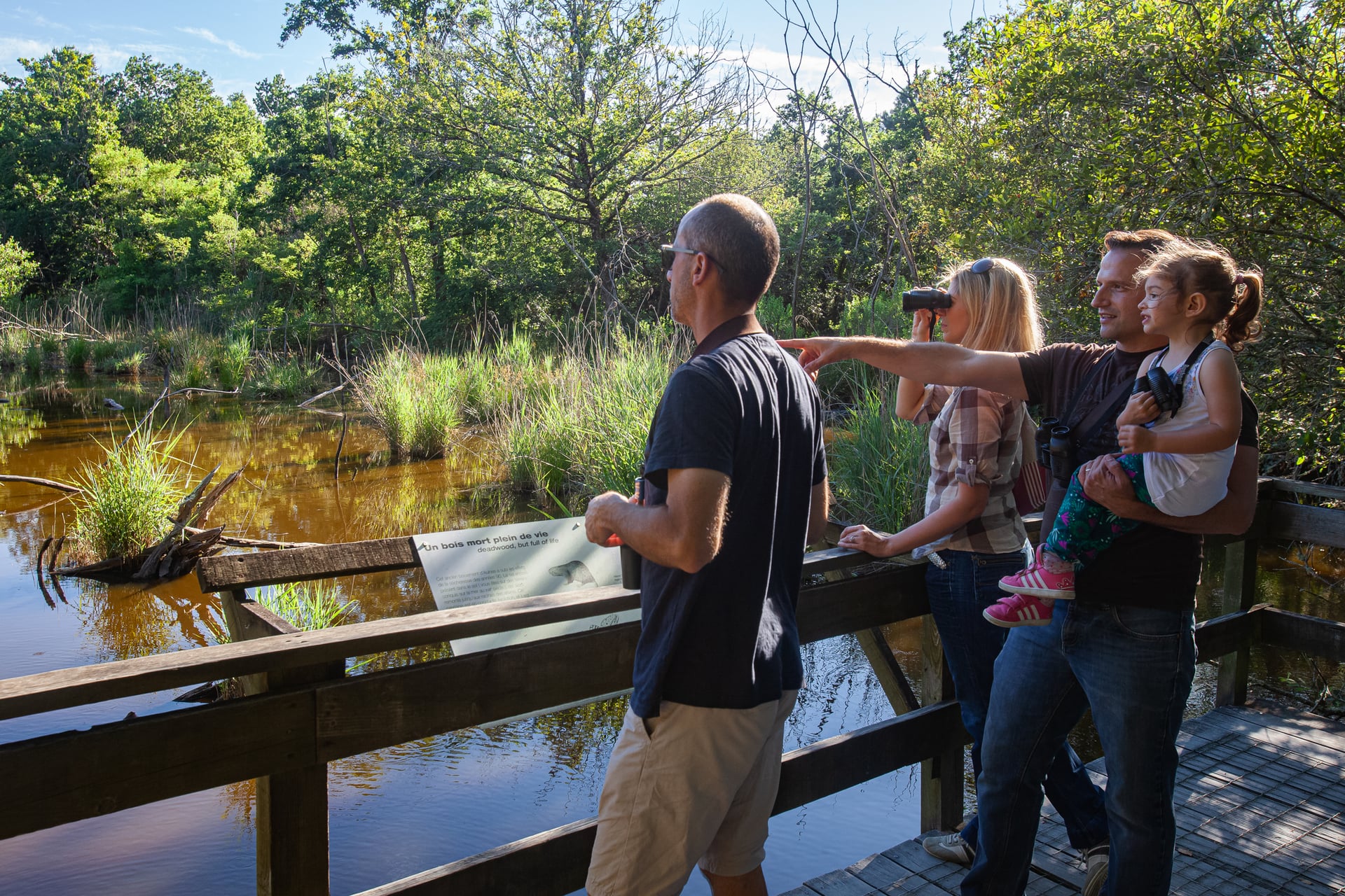 Visite libre de la réserve ornithologique et canoë collectif